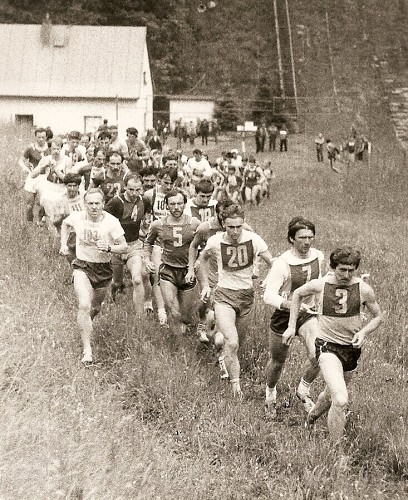 img00003.jpg