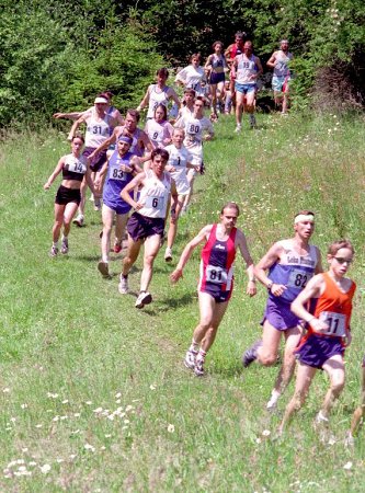 img00008.jpg