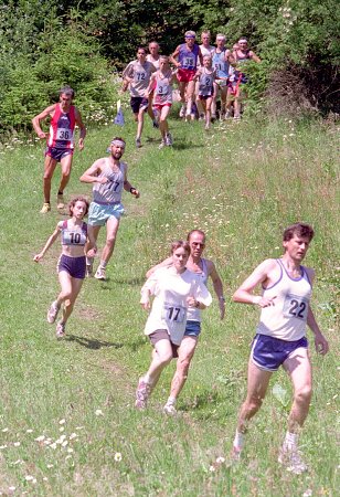 img00009.jpg