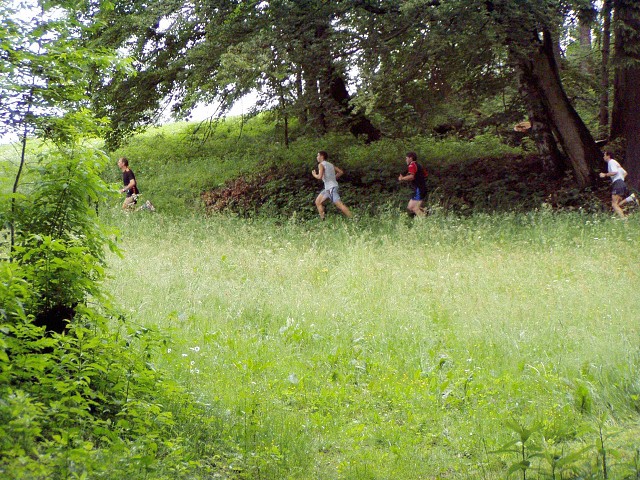 img00008.jpg