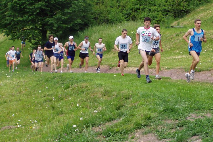 img00008.jpg