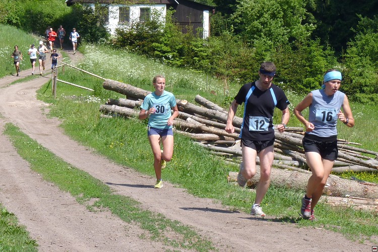 img00010.jpg