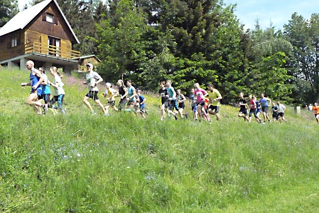img00006.jpg